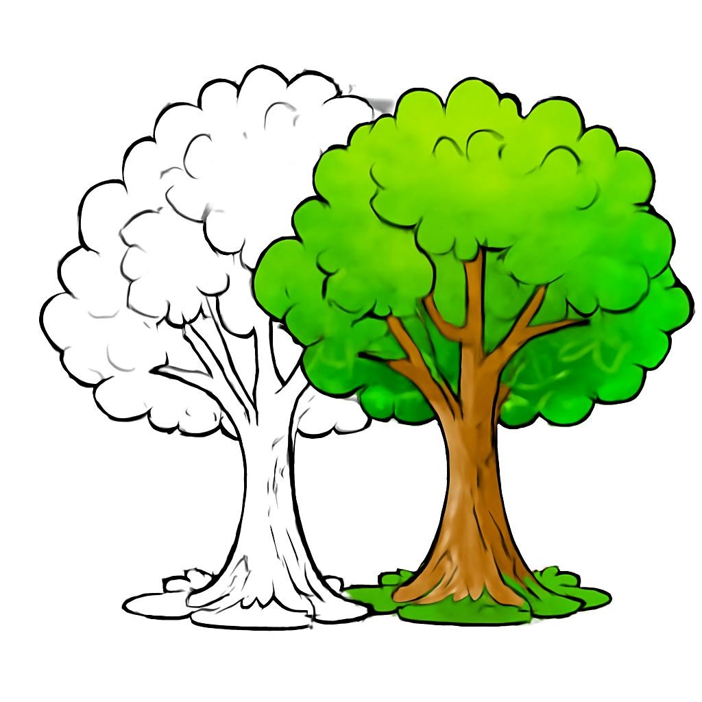 Black-and-white line-art coloring page for kids: a beautiful leafy tree with a sturdy trunk, symbolizing growth, simple bold contours, no shading, suitable for crayons.