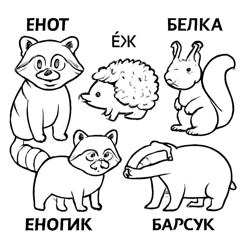 Раскраска
