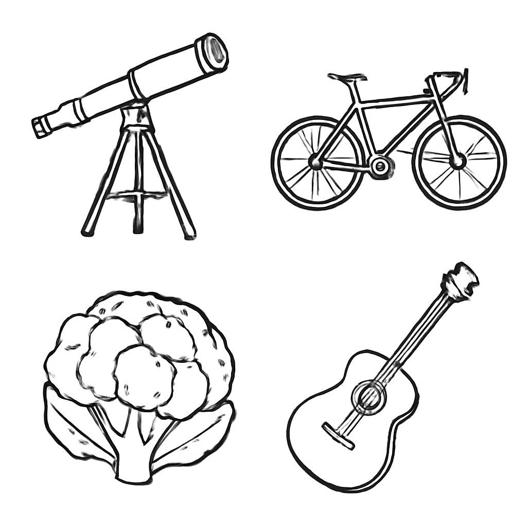 2x2 grid showing: top-left a vintage telescope, top-right a professional bicycle, bottom-left a large cauliflower, bottom-right an acoustic guitar. Minimalist black and white line art, vector style, no text.
