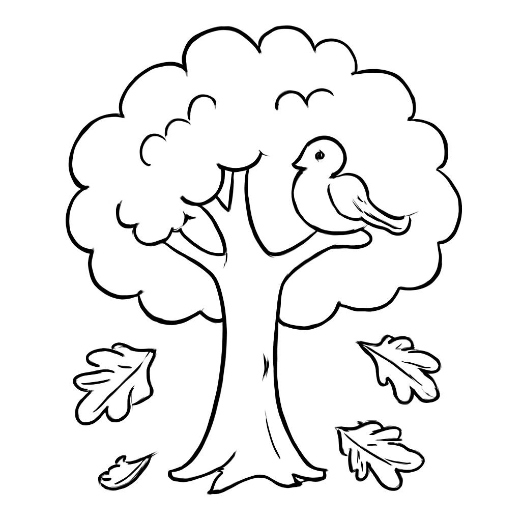 Black-and-white line-art coloring page for kids: a simple oak tree with some leaves falling down, a small bird sitting on a branch, simple bold contours, no shading, friendly style.