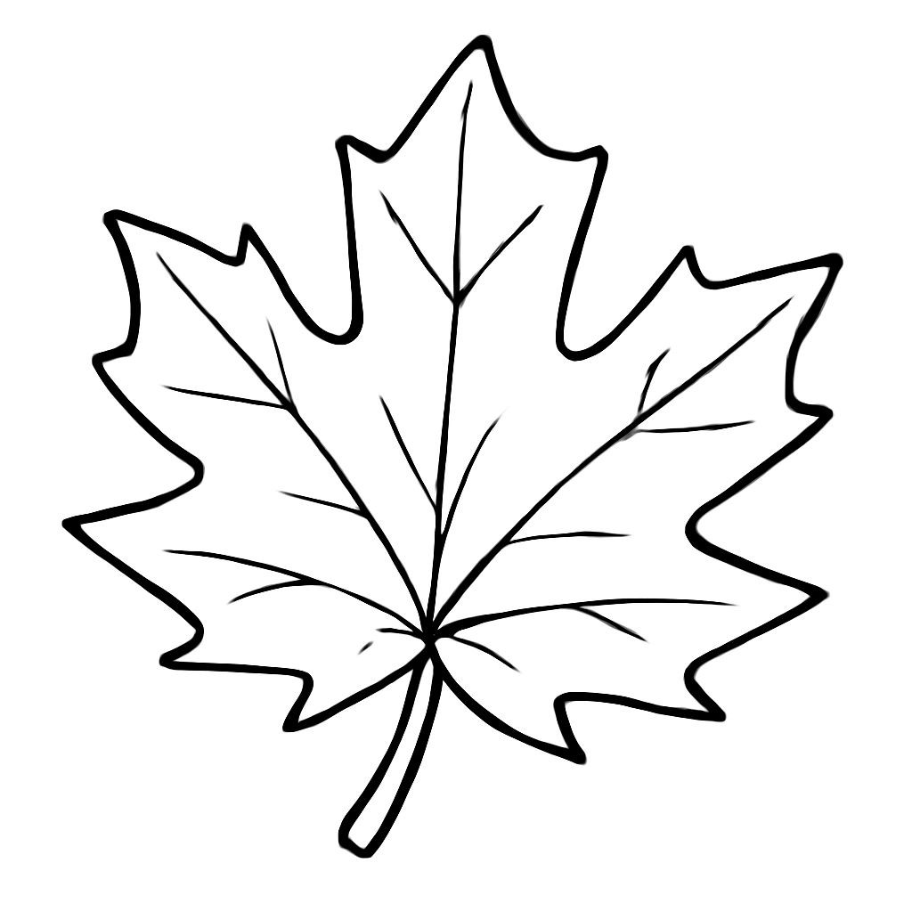 Black-and-white line-art coloring page for kids: a large maple leaf with simple bold contours, no shading, friendly style, suitable for crayons.