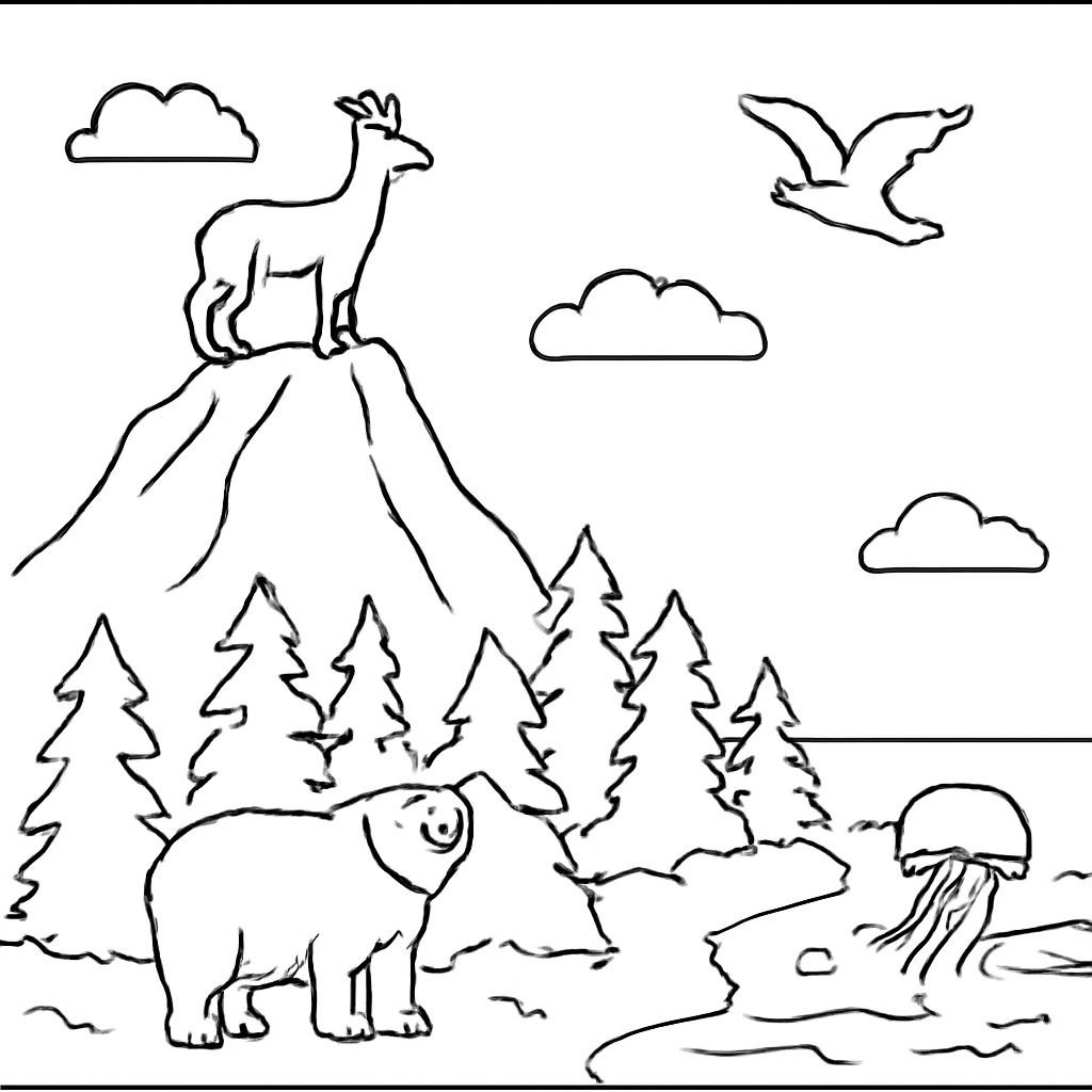 Раскраска