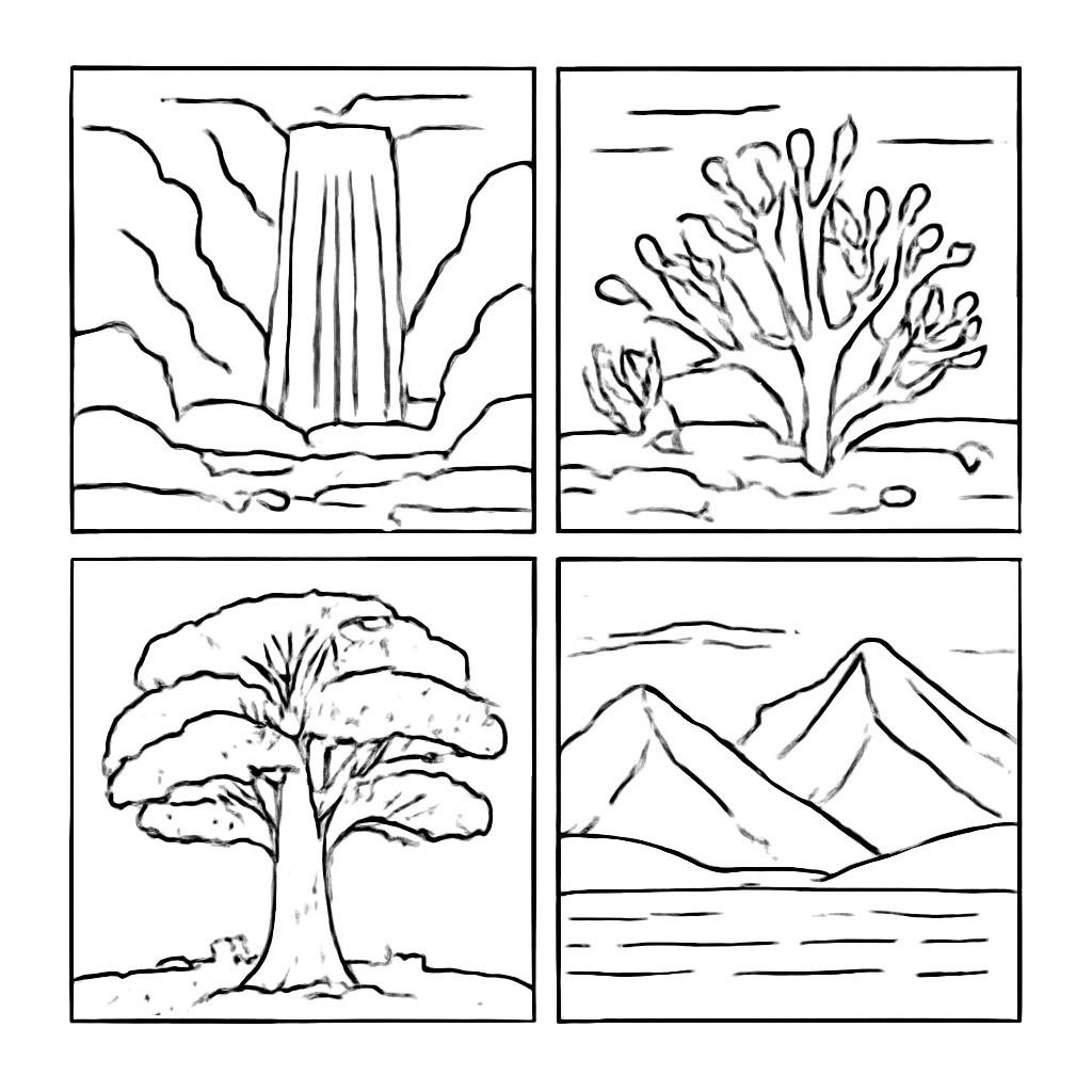 Four natural objects arranged in a two-by-two grid.