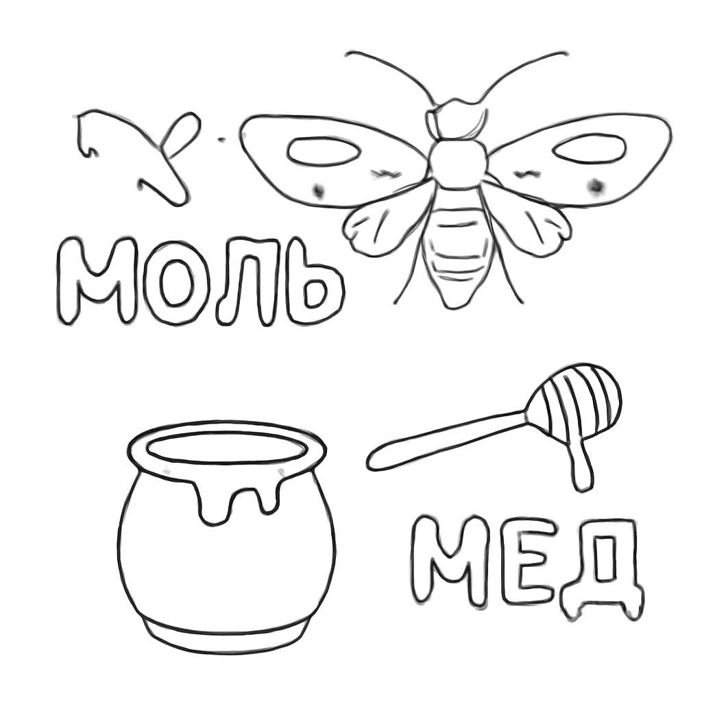 Контурная иллюстрация со словами «моль» и «мёд»