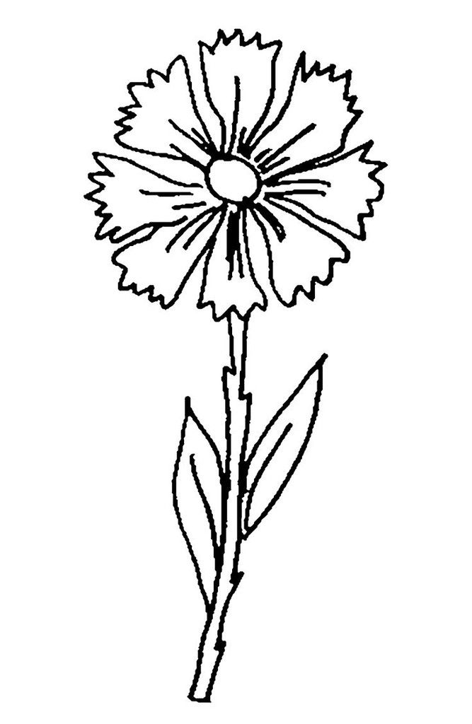8c53b42eff8fe84e304b3c20c44bdf6e.jpg