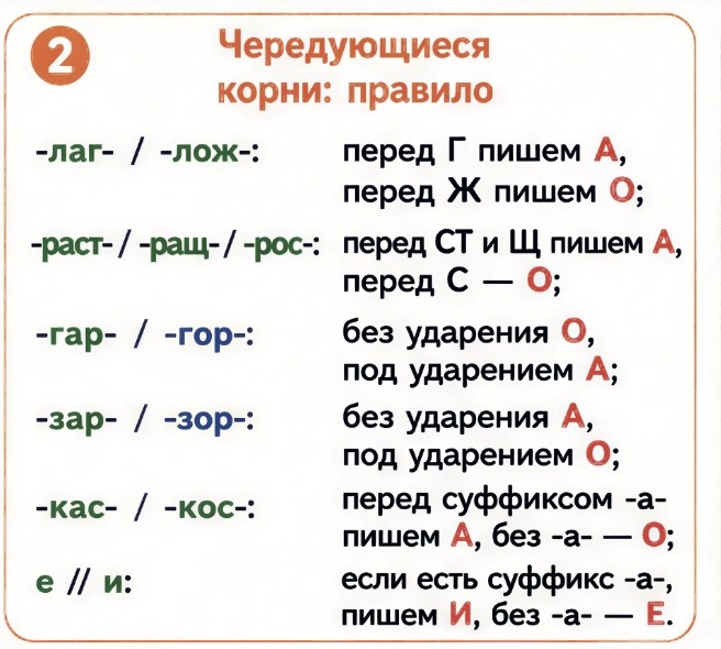 Слайд 11 — иллюстрация к презентации «Магия корней-перевертышей» по русскому языку для 6 класса
