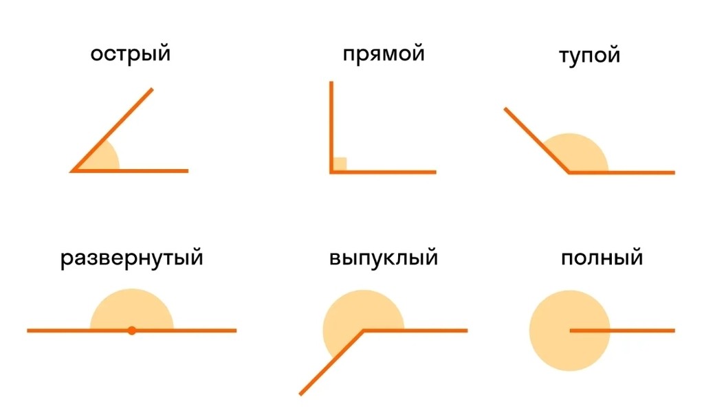 Слайд 7 «Понятие угла и его виды: подведение итогов» — иллюстрация к презентации «Основы геометрии» по геометрии для 7 класса