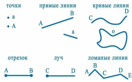 Слайд 6 «Основные фигуры: точка, прямая, луч, отрезок» — иллюстрация к презентации «Основы геометрии» по геометрии для 7 класса