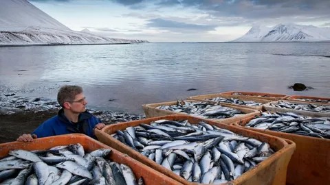 Слайд 7 «Внешние экономические связи Исландии» — иллюстрация к презентации «Исландия» по географии для 11 класса