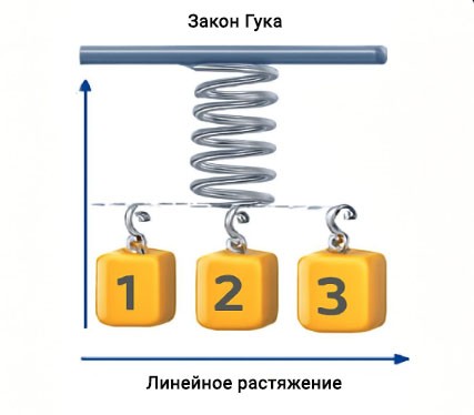 Слайд 14 «Суть закона Гука» — иллюстрация к презентации «Секреты упругой пружины» по физике для 7 класса