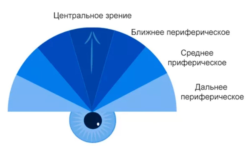 Слайд 6 «Виды зрения» — иллюстрация к презентации «Зрительный анализатор» по биологии для 9 класса