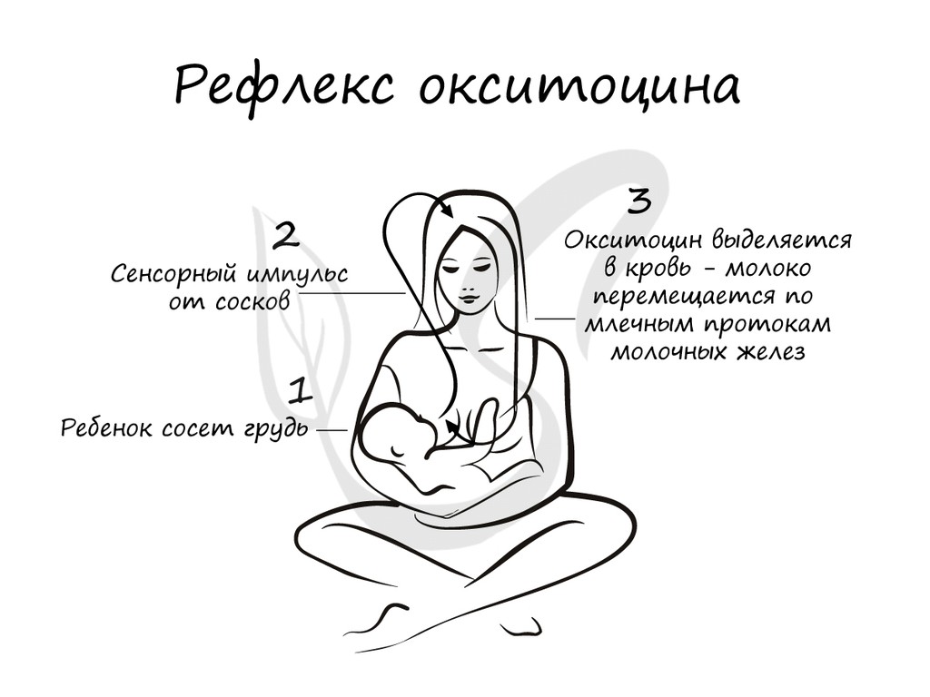 Слайд 17 — иллюстрация к презентации «Гуморальная регуляция и эндокринная система» по биологии для 11 класса