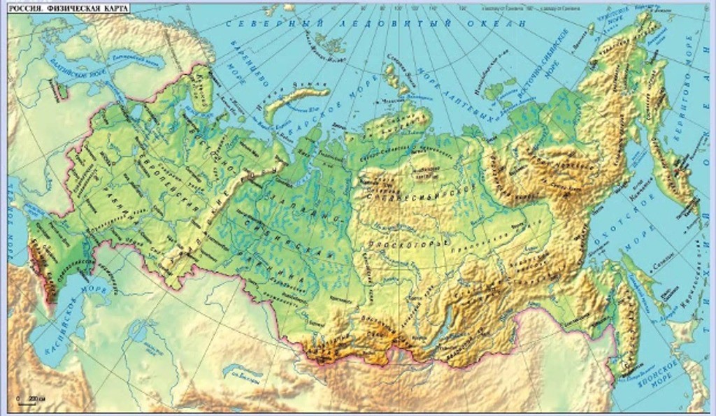 12445.jpg